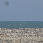 Cayeux sur Mer